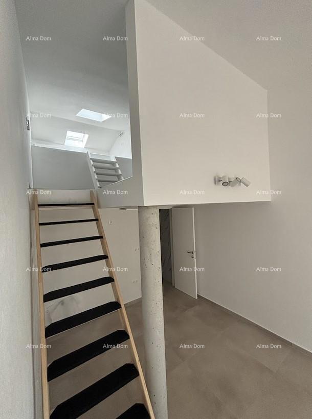 UMAG – Hiša s bazenom in tremi ločenimi apartmaji