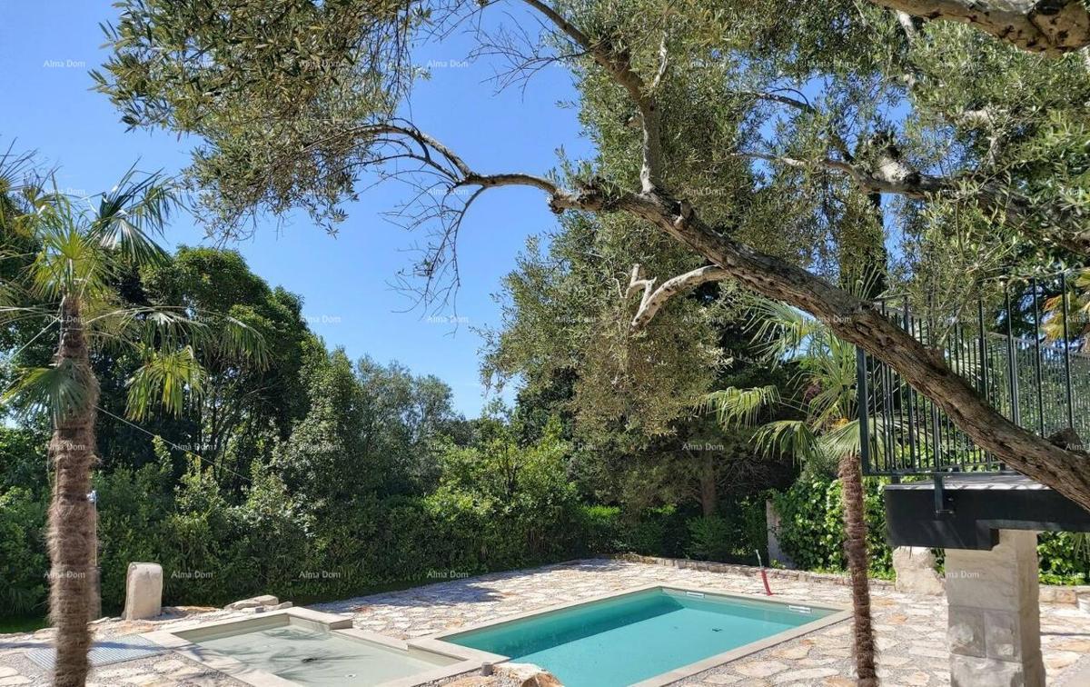 UMAG – Hiša s bazenom in tremi ločenimi apartmaji