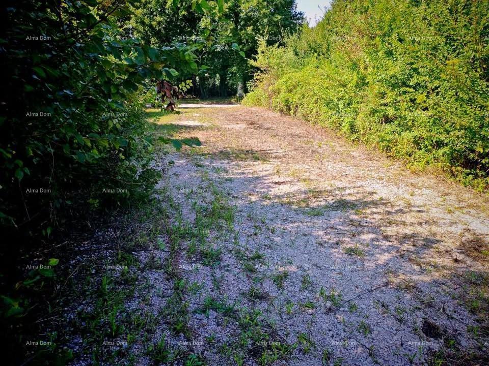 Istra, Kršan, prodajamo dve gradbeni parceli z dovoljenji.