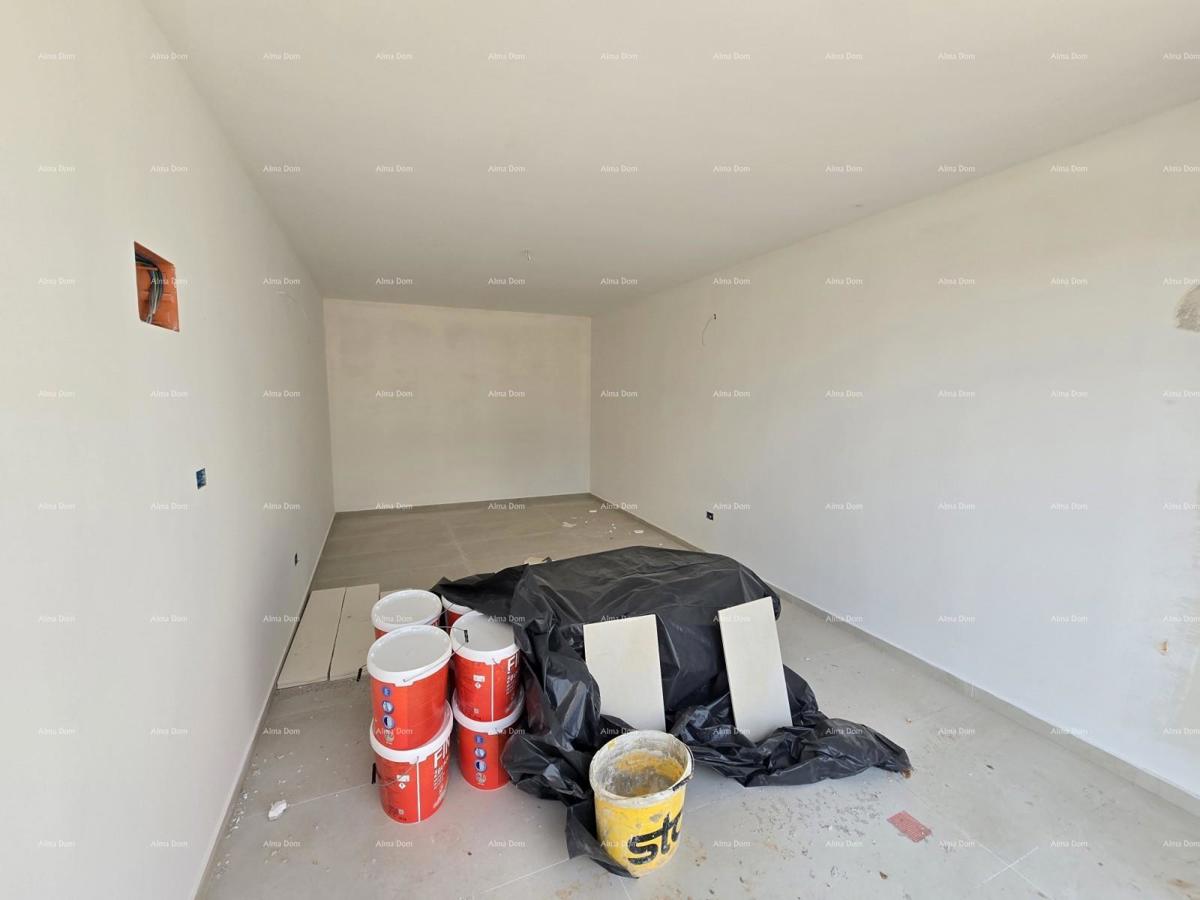 The translation of the title