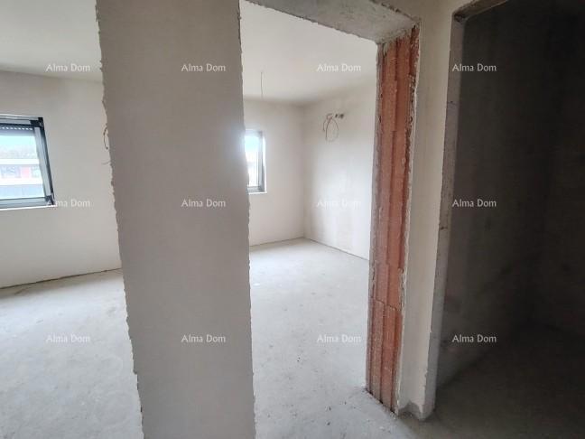 The translation of the title