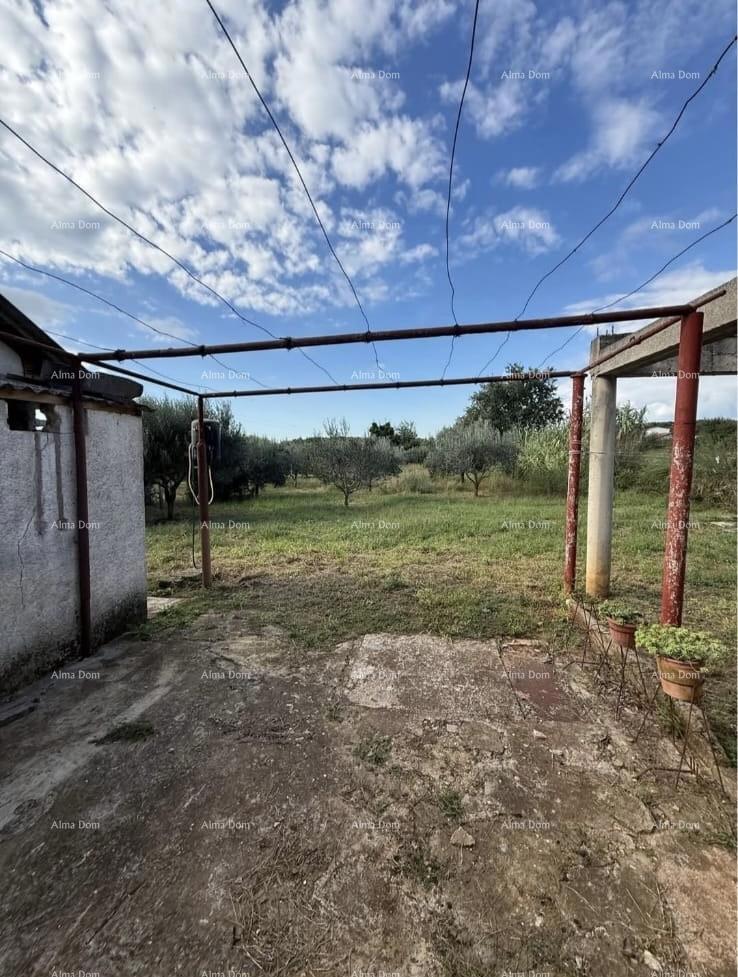 Prodamo dve manjši legalizirani hiši z zemljiščem