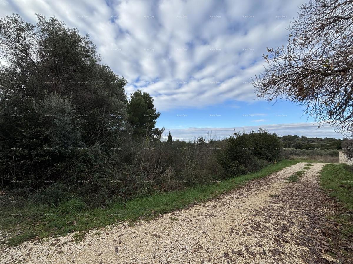 Premantura, gradbena parcela 1.600 m²