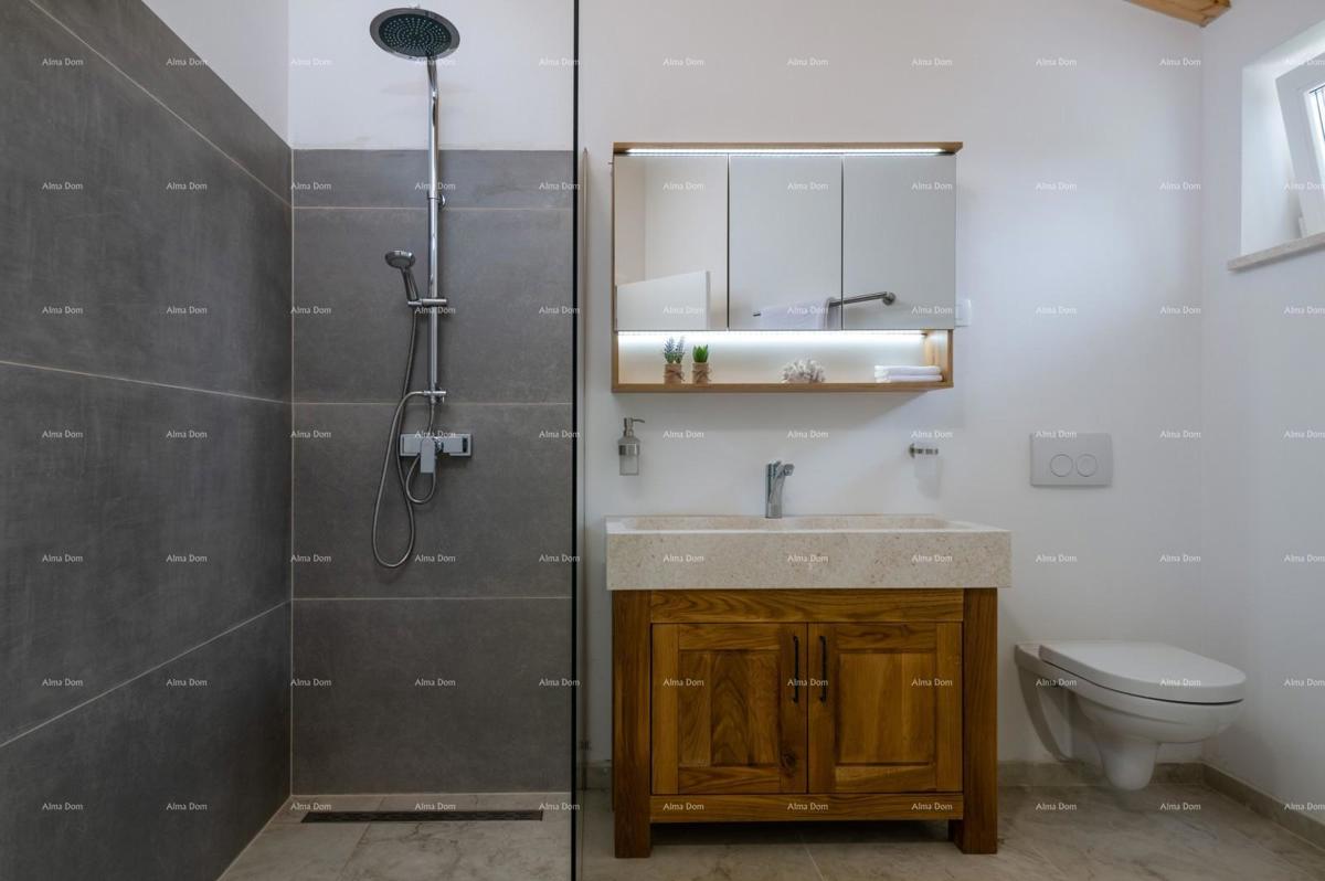 Prodaja - luksuzna vila s bazenom i jacuzzijem na prostornem dvorišču, Marčana!