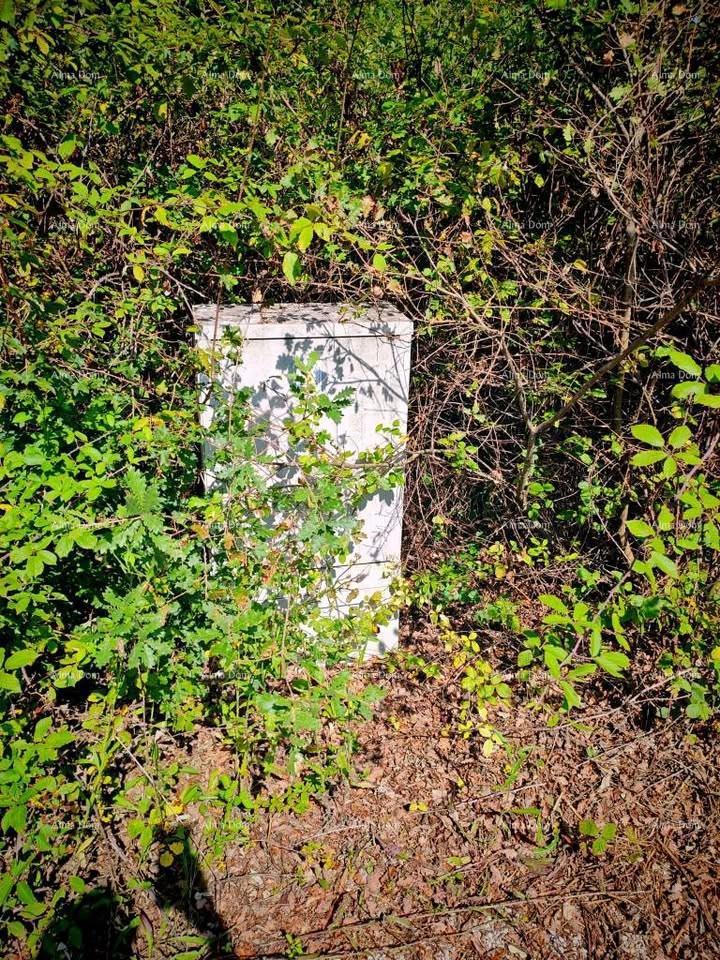 Istra, Kršan, prodajamo dve gradbeni parceli z dovoljenji.