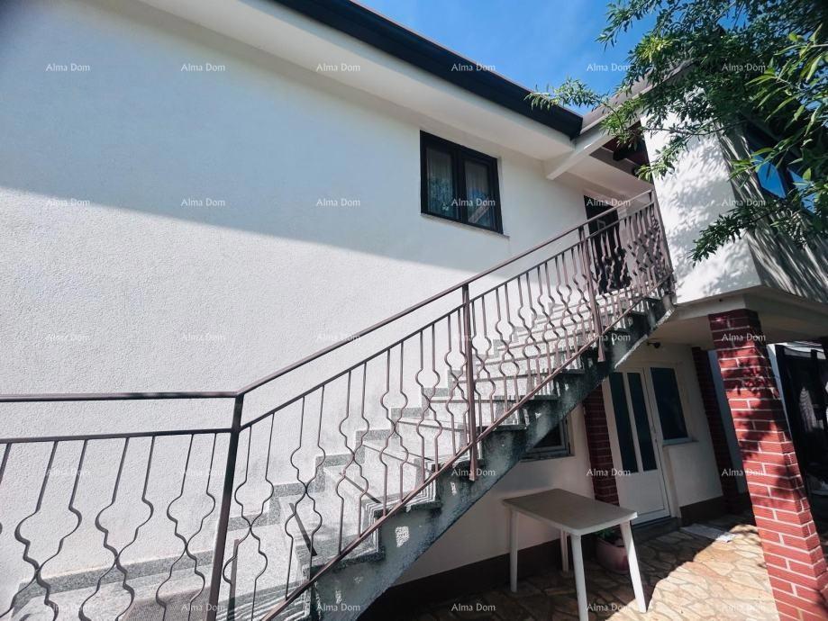 Buje – Samostoječa hiša z oljčnikom in gradbenim zemljiščem