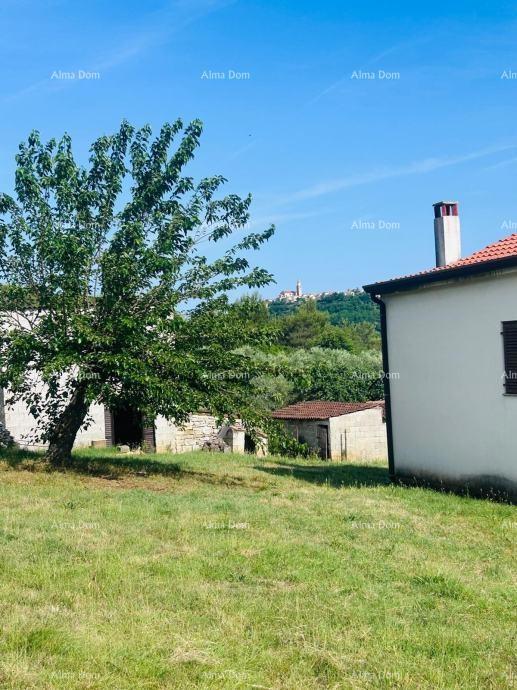 Buje – Samostoječa hiša z oljčnikom in gradbenim zemljiščem