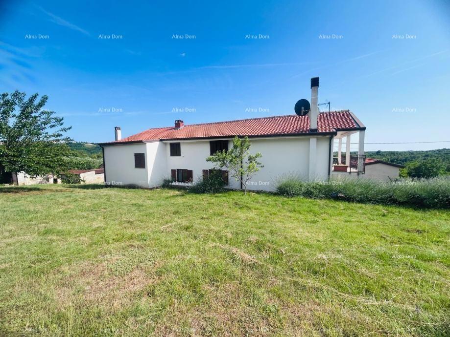 Buje – Samostoječa hiša z oljčnikom in gradbenim zemljiščem