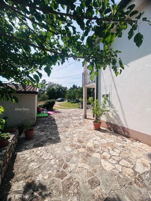 Buje – Samostoječa hiša z oljčnikom in gradbenim zemljiščem