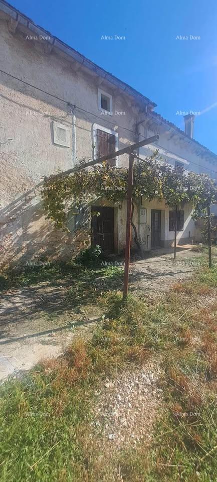 Prodaja dveh kamnitih hiš za obnovo - okolica Žminja!