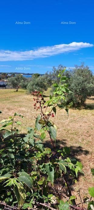 Fažana – kmetijsko zemljišče blizu morja