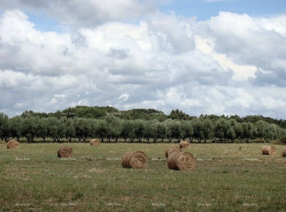 Investicijska priložnost! Prodaja gradbenega zemljišča turistično-gostinske namene - T zona, Ližnjan!