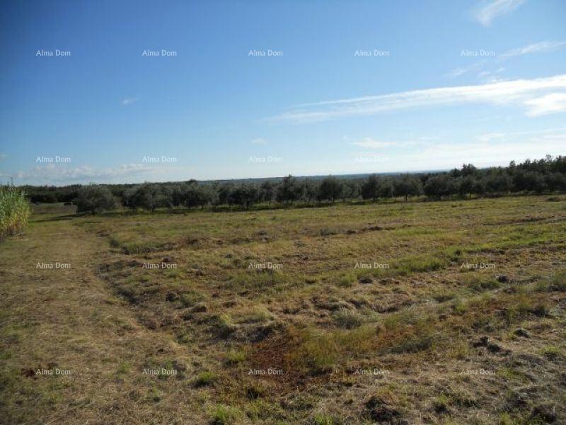 Prodajemo zemljišče 3 km od morja