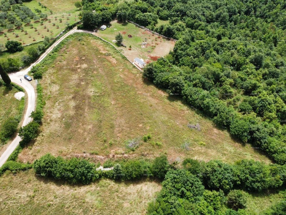 Blizu Vodnjana! Parcele z gradbenim dovoljenjem!