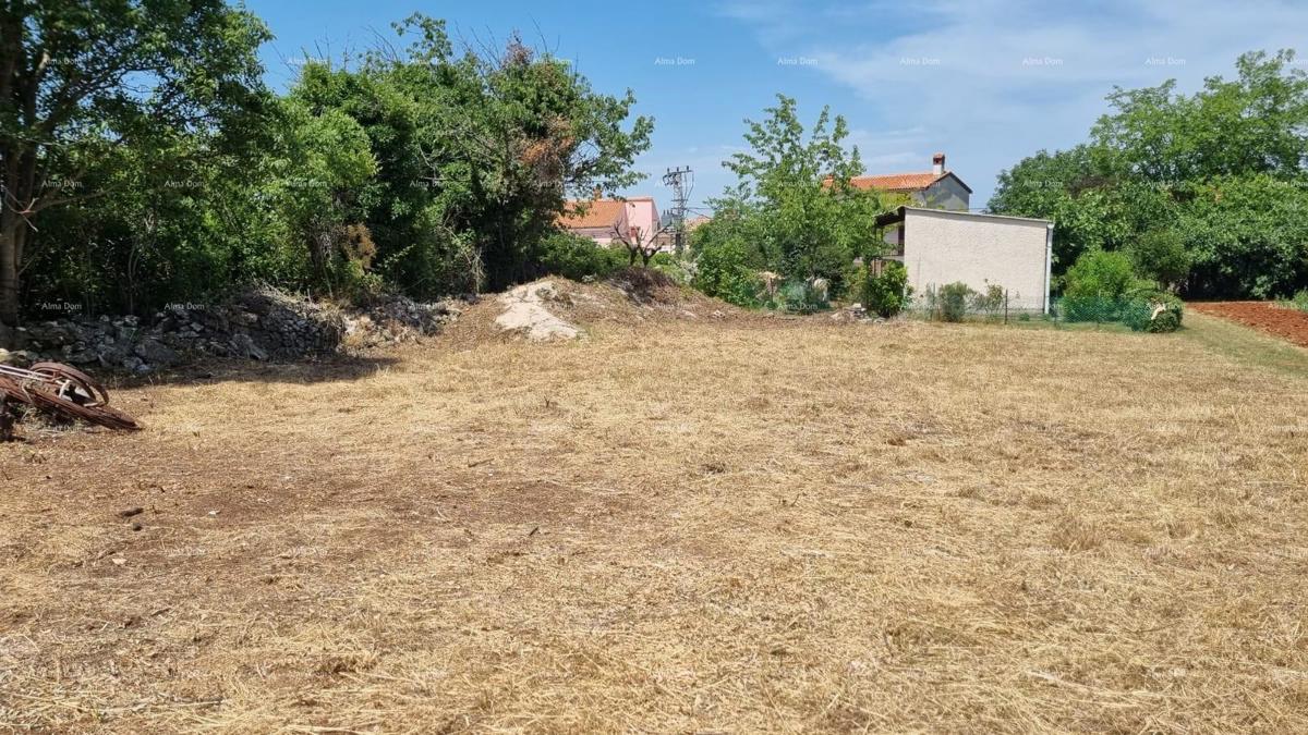 MARČANA, COKUNI gradbena 485 m2.