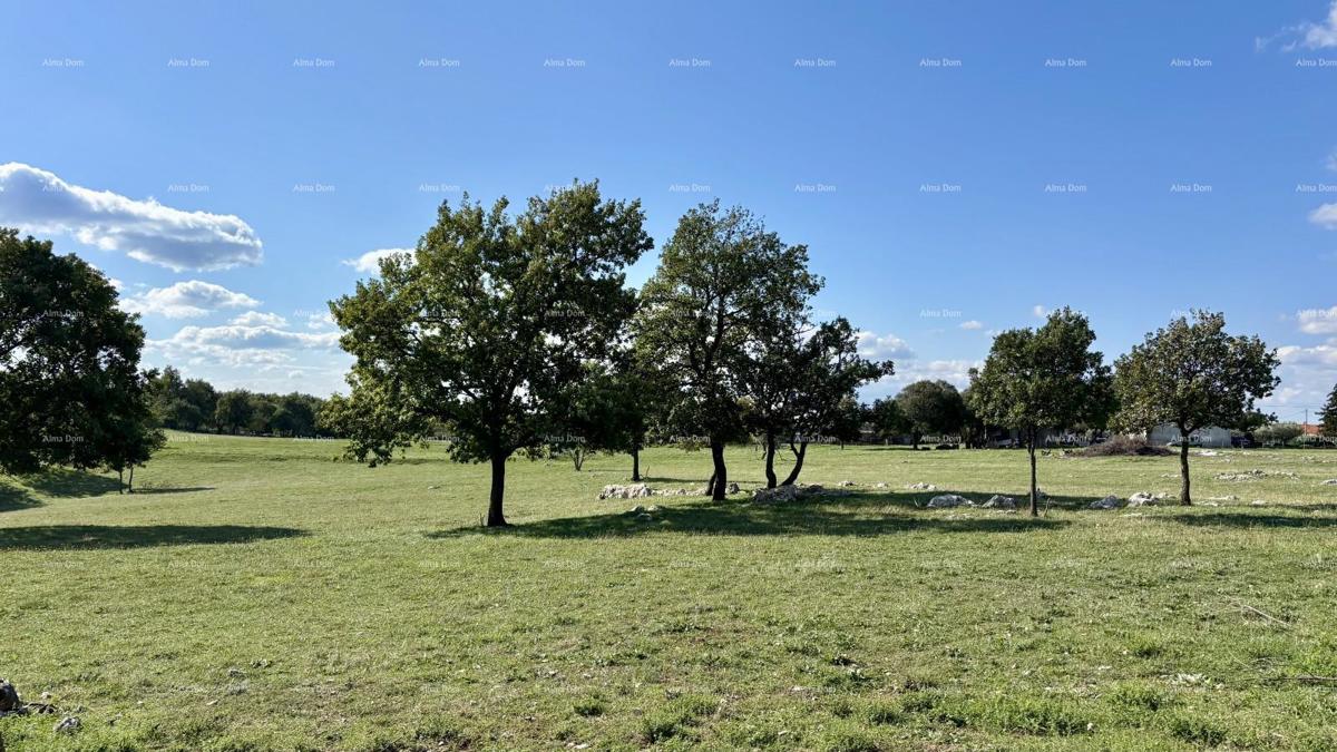 MARČANA, COKUNI gradbena 485 m2.