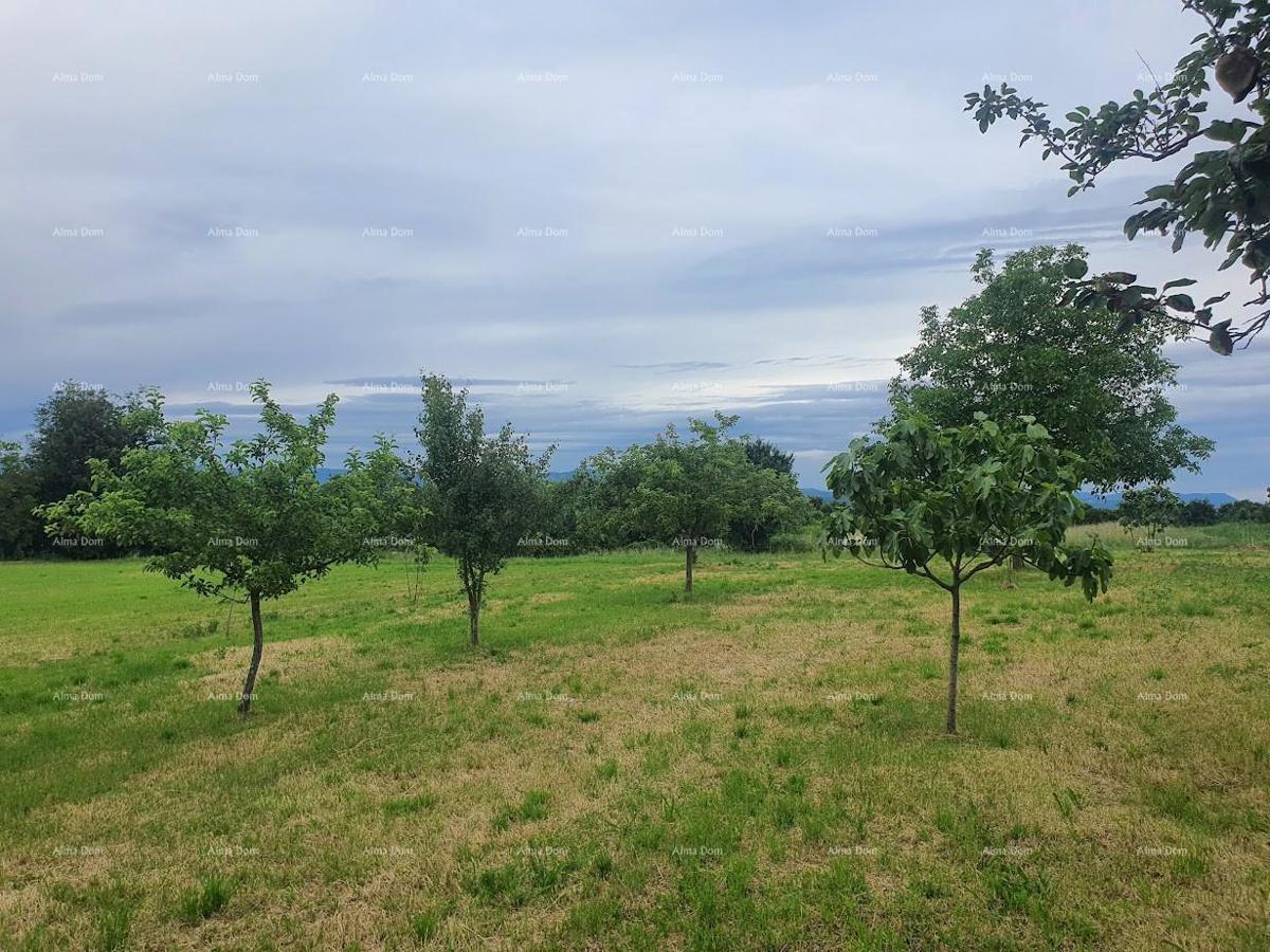 Družinska hiša z garažo, kletjo in možnostjo nakupa dodatnega zemljišča – 30 min od Pule