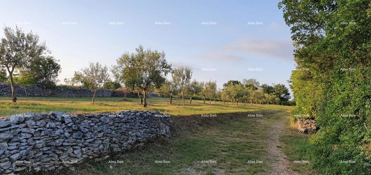 Marčana, Filipana – Gradbeni Parcela