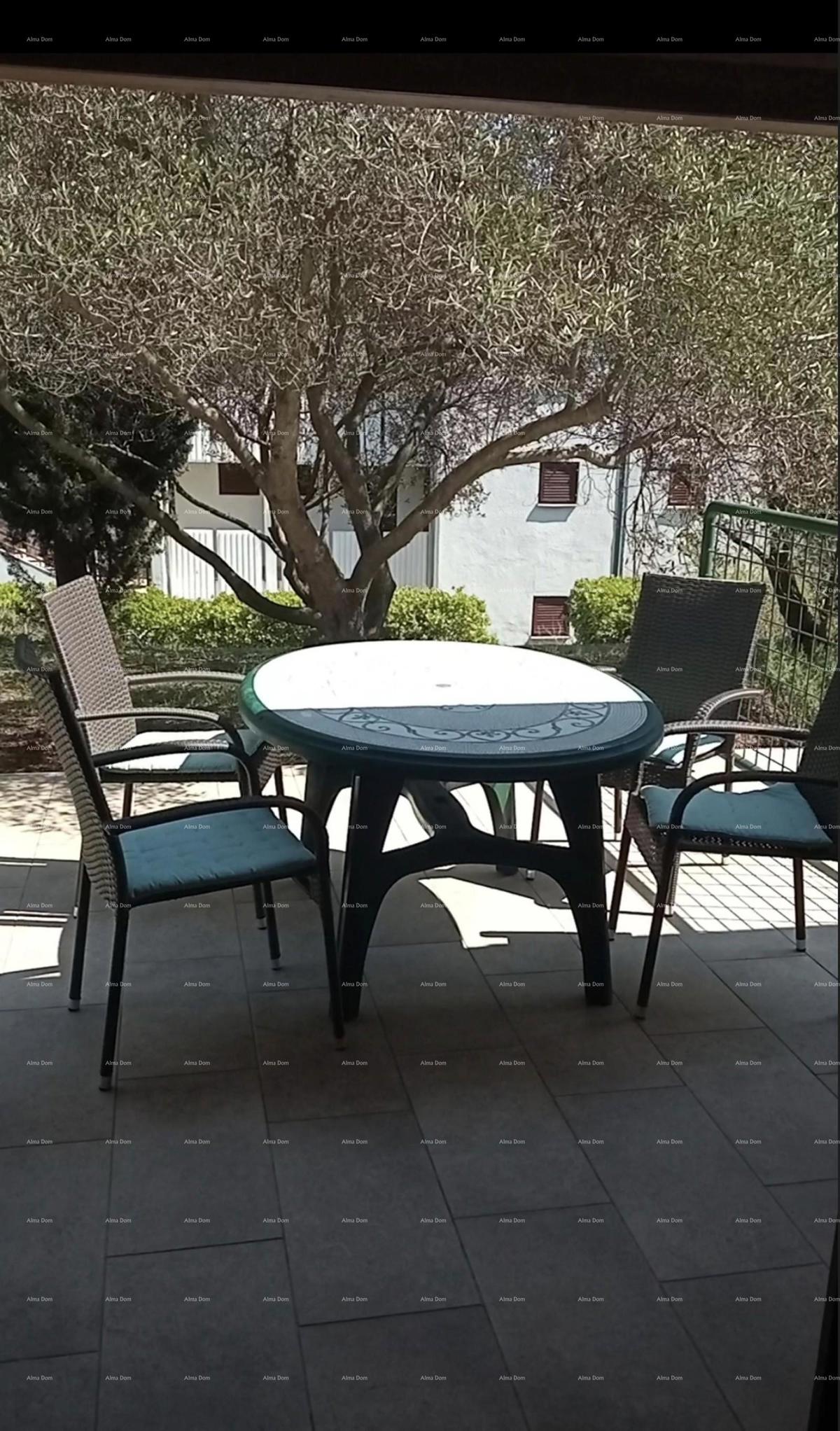 DUGA UVALA, STAN 36 M2 v pritličju!