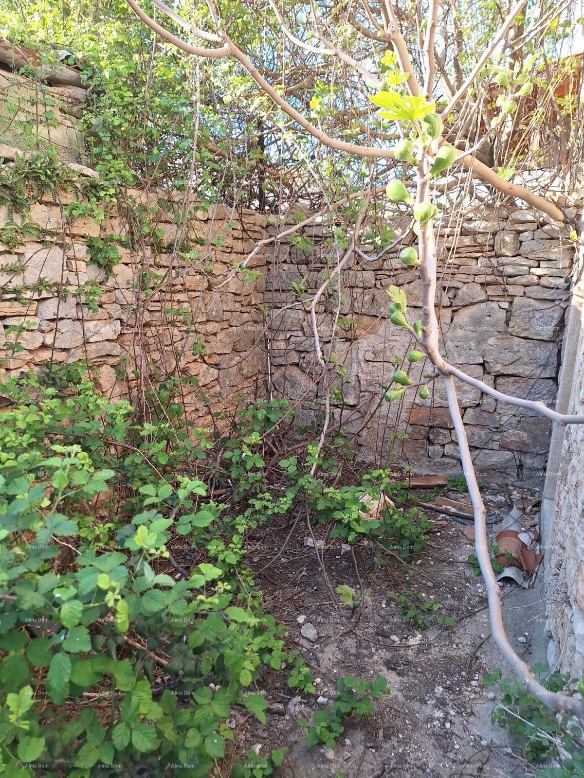 Na prodaju: Avtentična kamnita hiša s dvoriščem – Vodnjan.