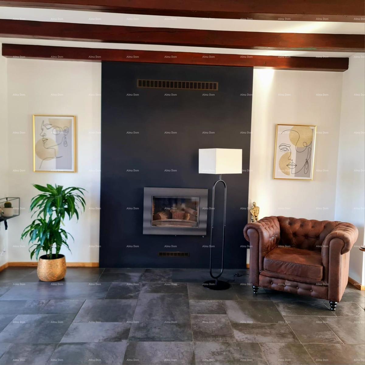 Prodaja - novoizgrajena vila - Barban!