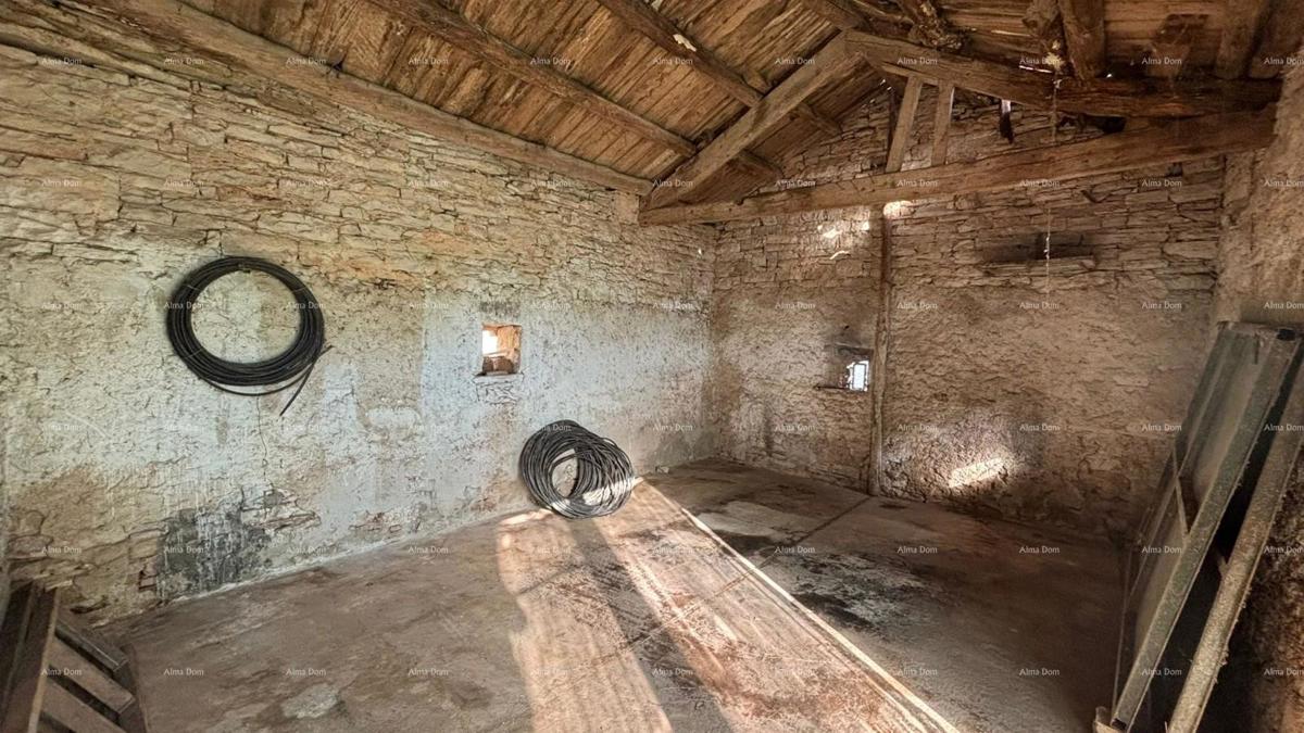 GALIŽANA – hiša z več stavbami in velikim potencialom za prenovo