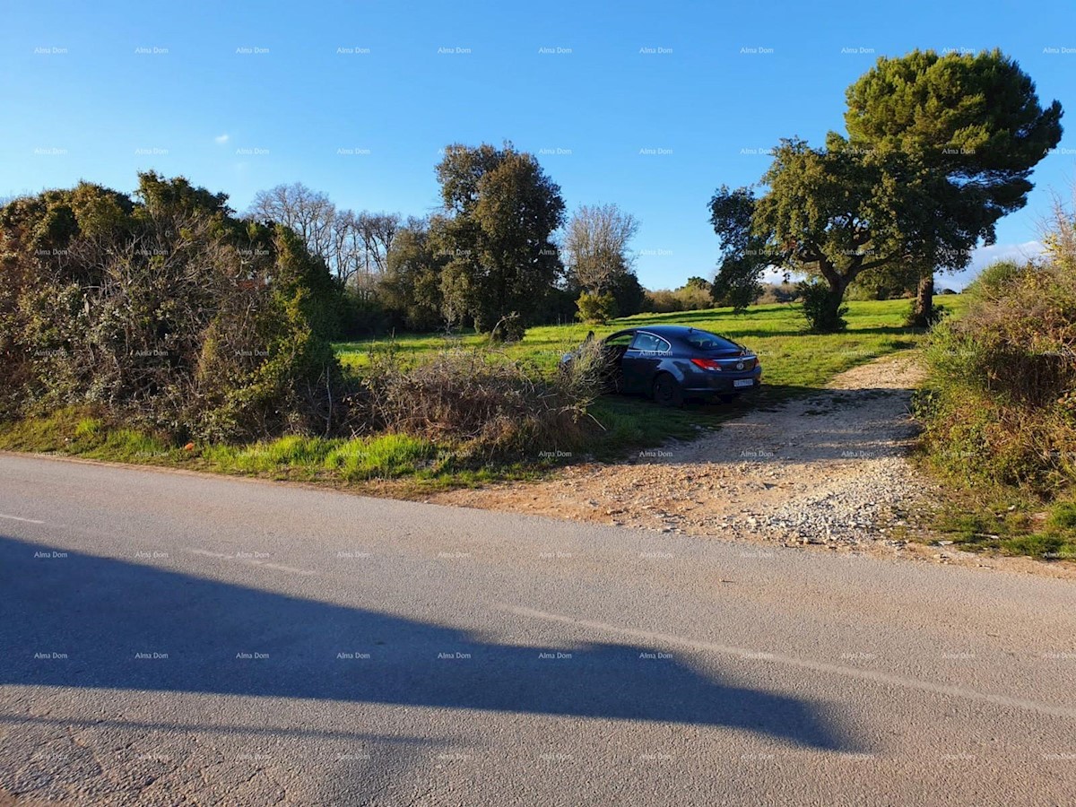 Prodaja kmetijskega zemljišča, Pula, Montešerpo