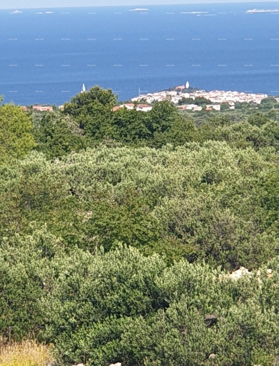 Prodamo čudovito samostojno hišo z 2 ločenima apartmajema, Primošten!