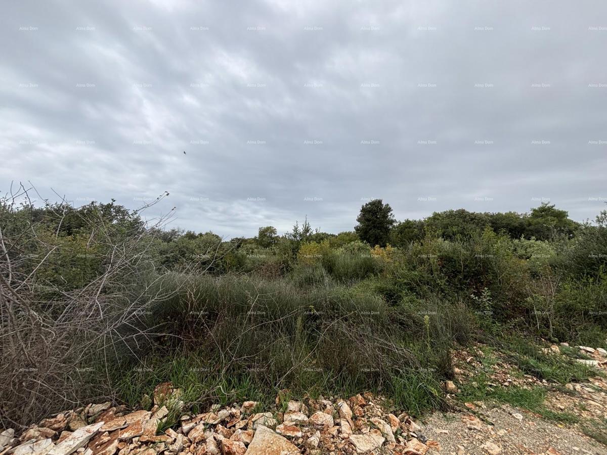 Gradbeno zemljišče Pula