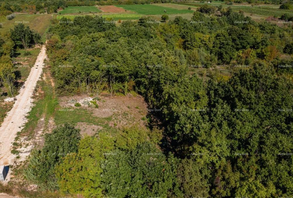 Građevinsko zemljišče s dovoljenjem in začetimi deli v Svetvinčentu, 586 m²