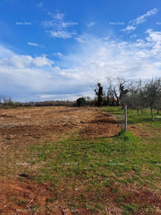 Atraktivno gradbeno zemljišče za gradnjo stanovanjske stavbe, Umag – 500 m od morja!