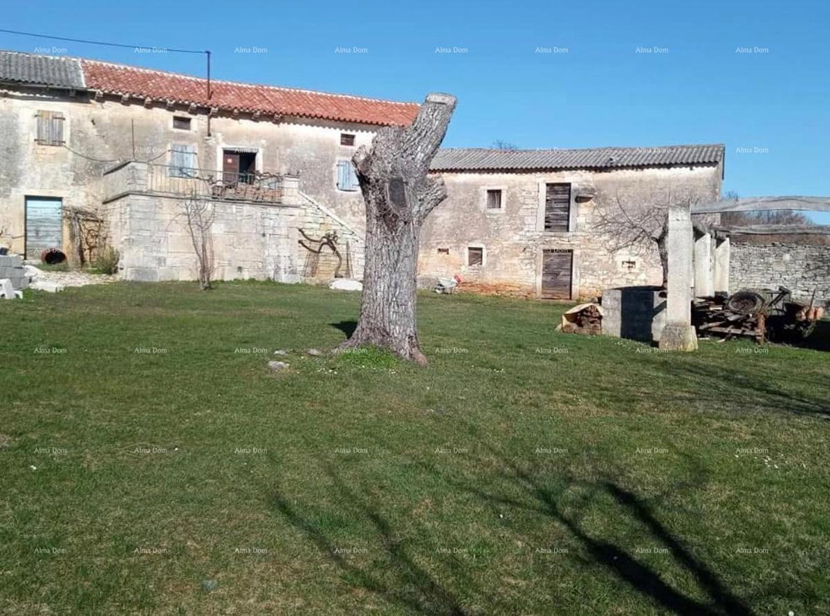 Pazin, Istra - dve stare kamnite hiše z veliko zemljišče