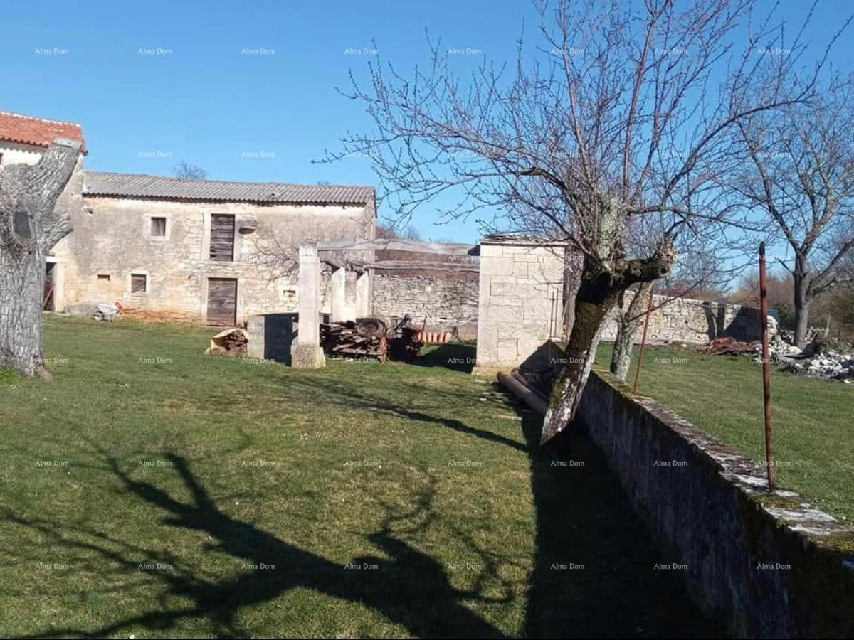 Pazin, Istra - dve stare kamnite hiše z veliko zemljišče