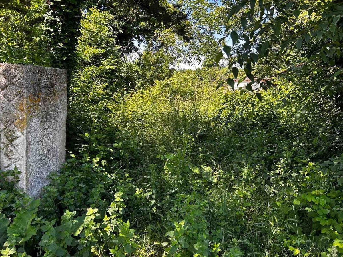 Prodaja hiše s skednjem in zemljiščem v bližini Barbana!