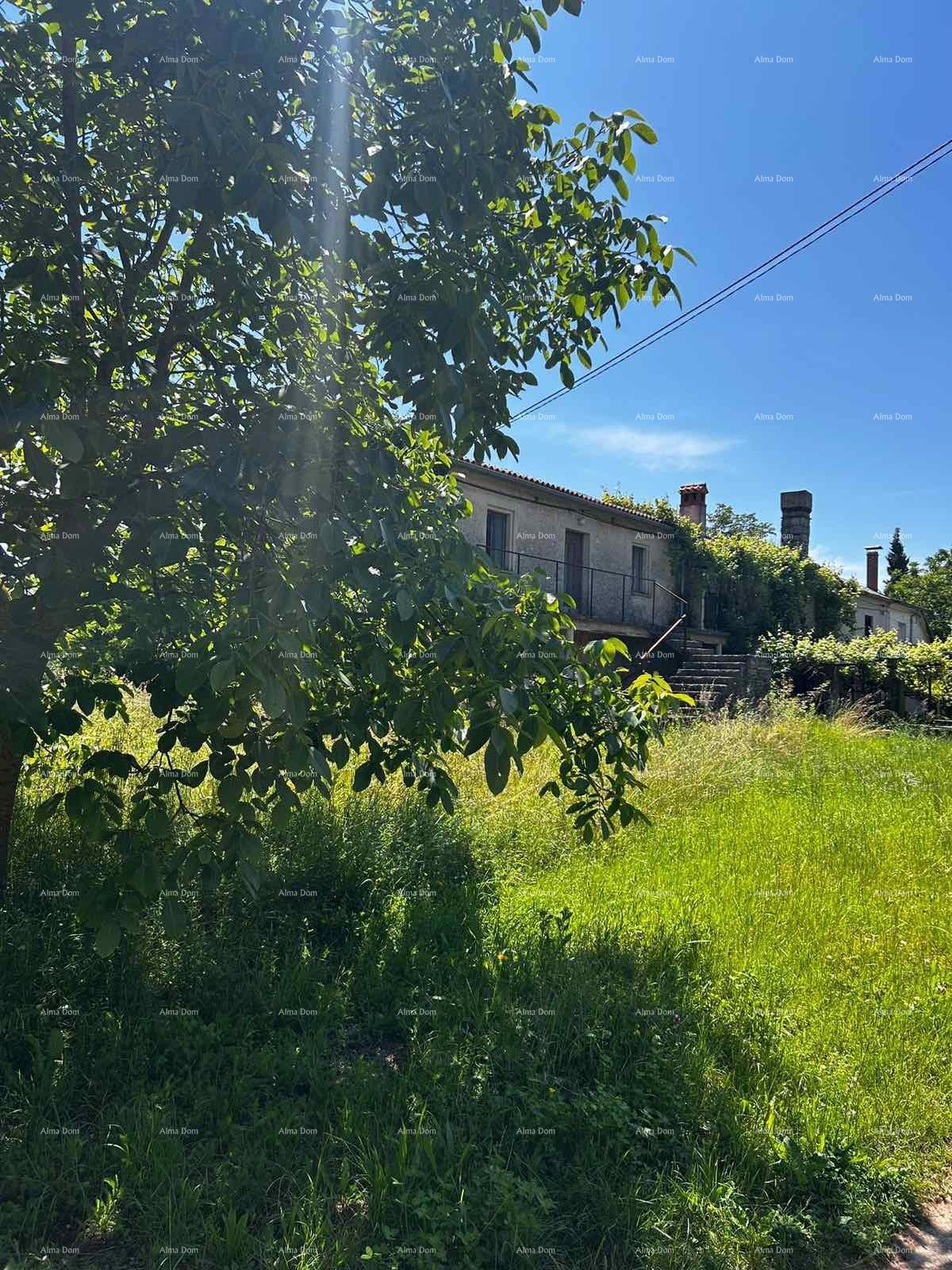 Prodaja hiše s skednjem in zemljiščem v bližini Barbana!