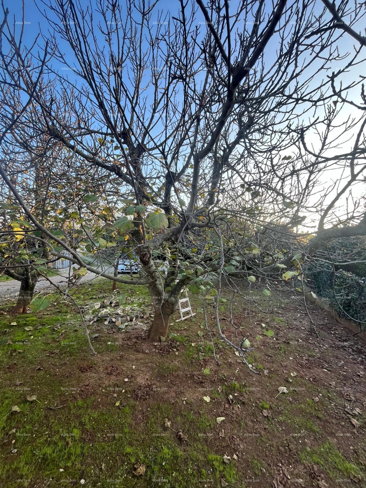 Prodaja samostojeće kuće u Fažani.