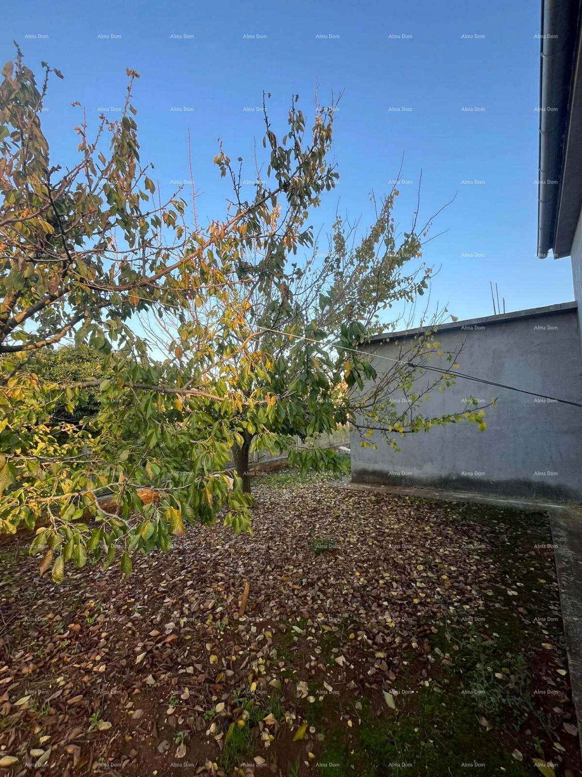 Prodaja samostojeće kuće u Fažani.