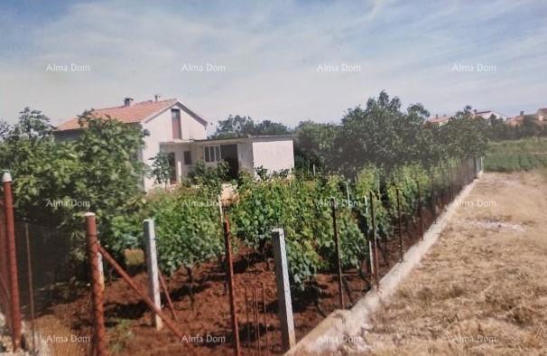 Prodaja samostojeće kuće u Fažani.