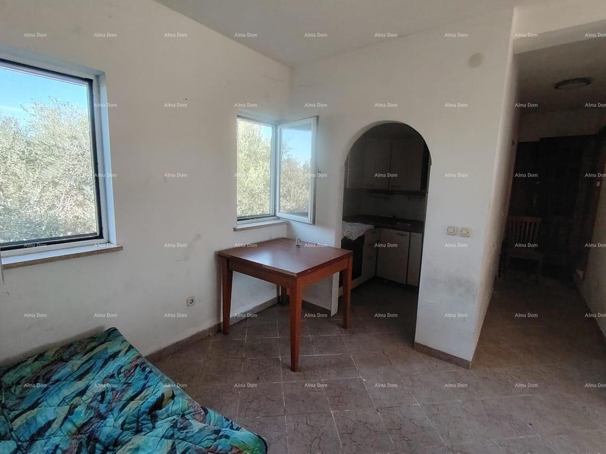 Popoln mir in potencial: nepremičnina s 12 spalnicami, bazenom in čudovitim pogledom na morje v Pomeru