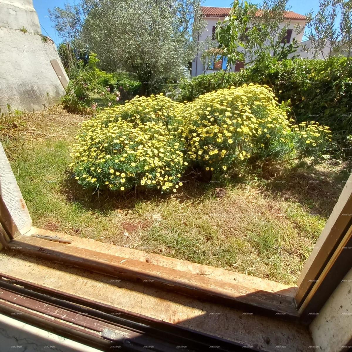 Na prodaju: šarmantna istarska kuća s prostranim dvorištem – Valtura