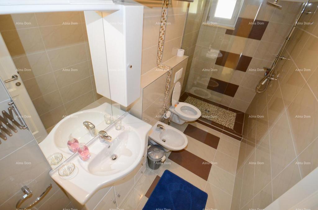 Prodaja - hiša s 4 stanovanji - okolica Višnjana!