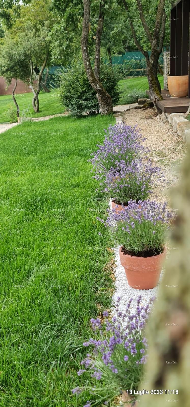 Prodaja - novoizgrajena vila - Barban!