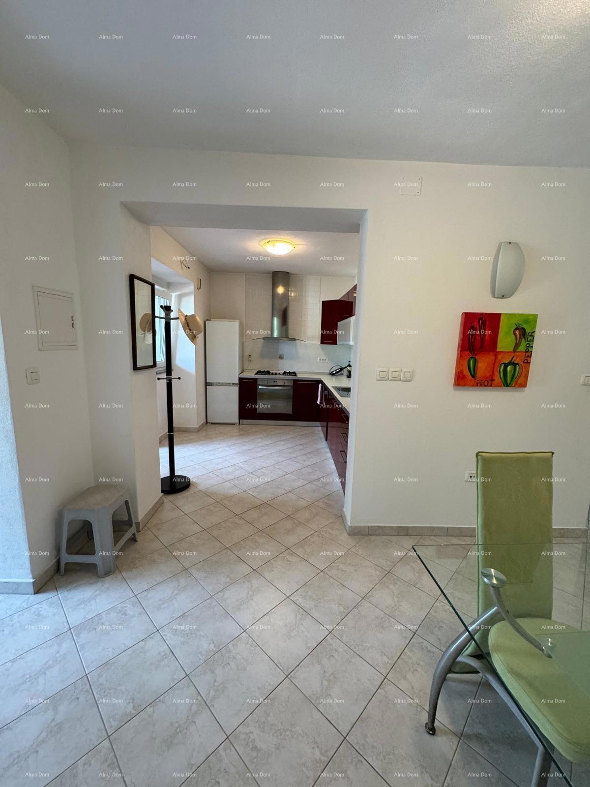 Hiša s pomožnim objektom. Medulin.