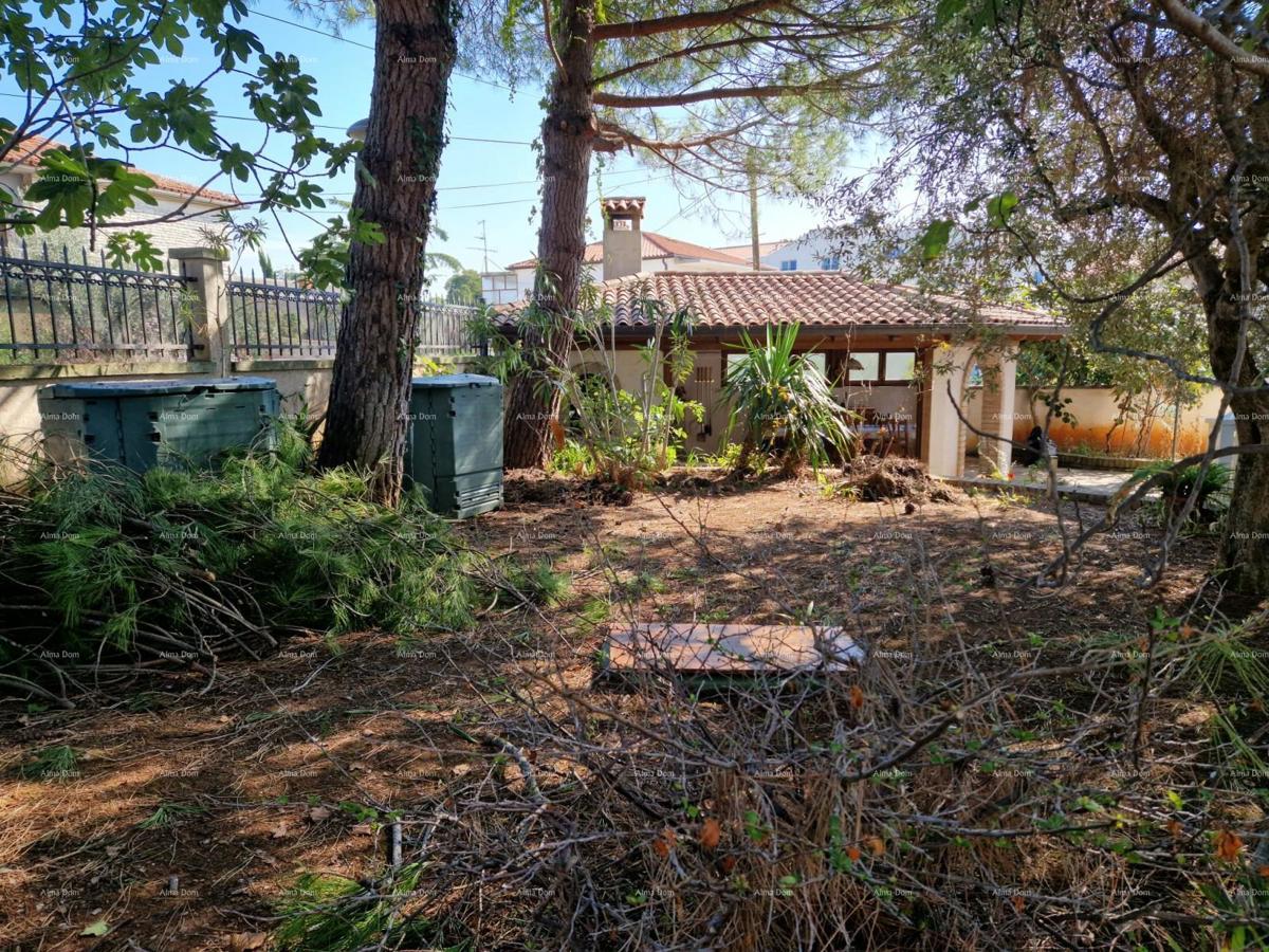 UMAG - Prostorna hiša z velikim vrtom, prva vrsta ob morju