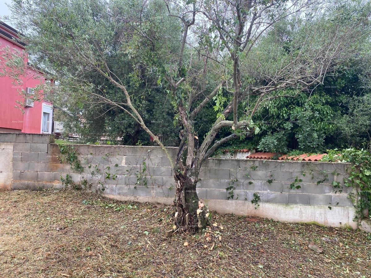 Gradbeno zemljišče Tar