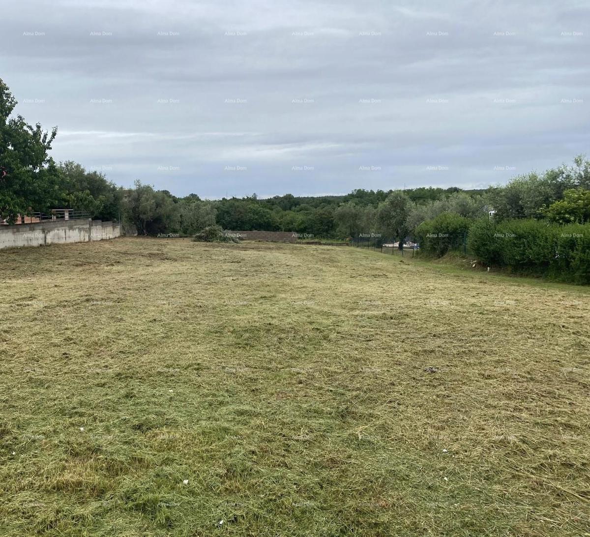 Gradbeno zemljišče Tar