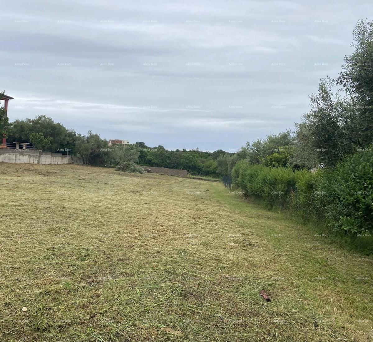 Gradbeno zemljišče Tar