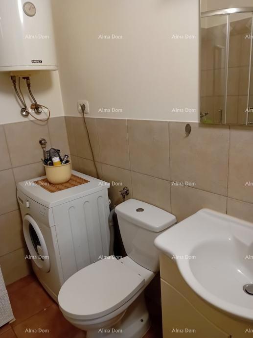 The translation of the title