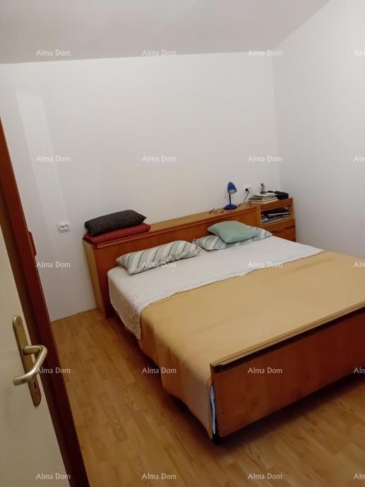 The translation of the title