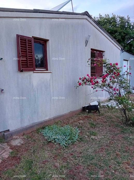 The translation of the title